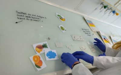 Chemie LK experimentiert an der Uni zu Estern, Fetten und Seifen